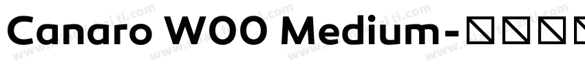 Canaro W00 Medium字体转换